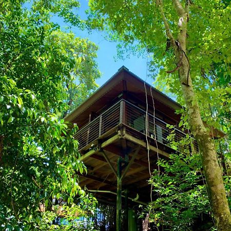 Cairns Rainforest Retreat Εξωτερικό φωτογραφία