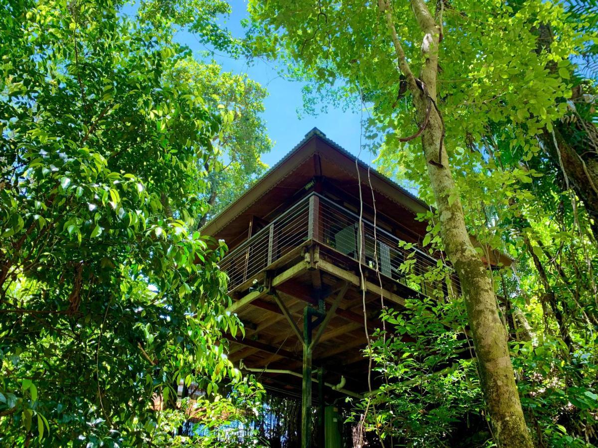 Cairns Rainforest Retreat Εξωτερικό φωτογραφία