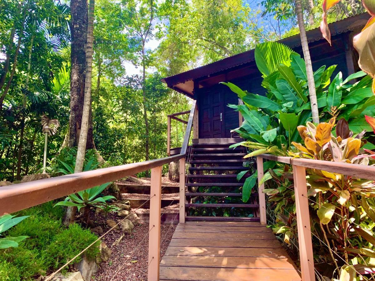 Cairns Rainforest Retreat Εξωτερικό φωτογραφία