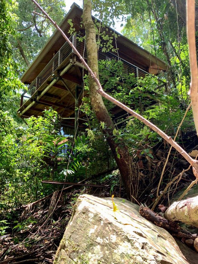 Cairns Rainforest Retreat Εξωτερικό φωτογραφία