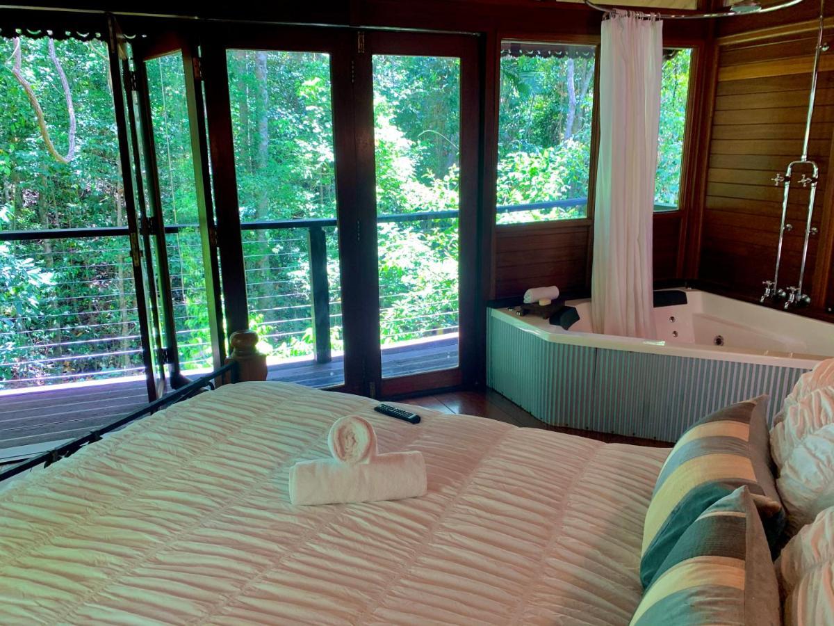 Cairns Rainforest Retreat Εξωτερικό φωτογραφία