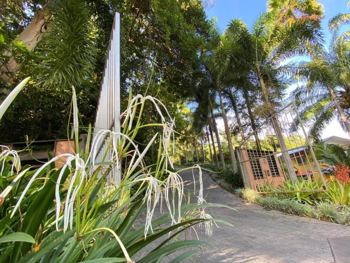 Cairns Rainforest Retreat Εξωτερικό φωτογραφία